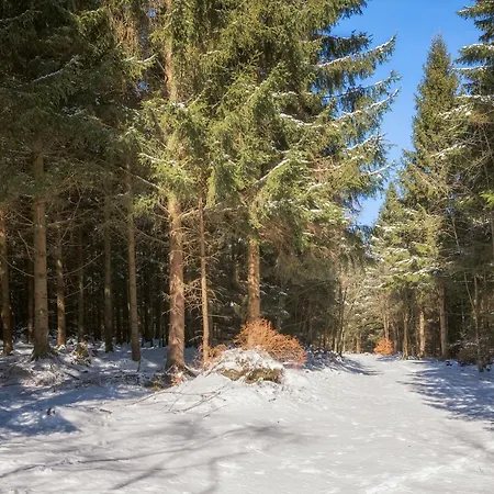 Wichtelhus Ferienhaus