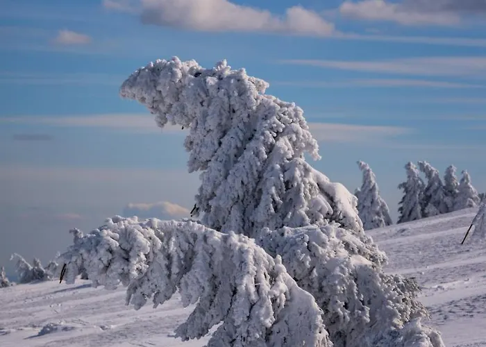 Tatil Evi Wichtelhus *